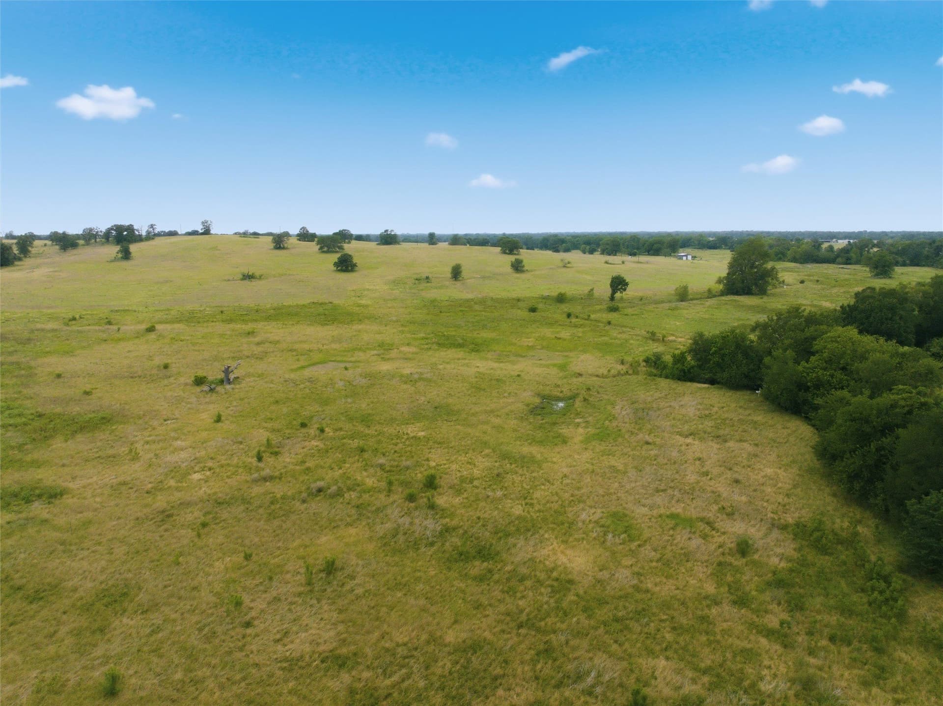 10 acres in Limestone County - photo 20