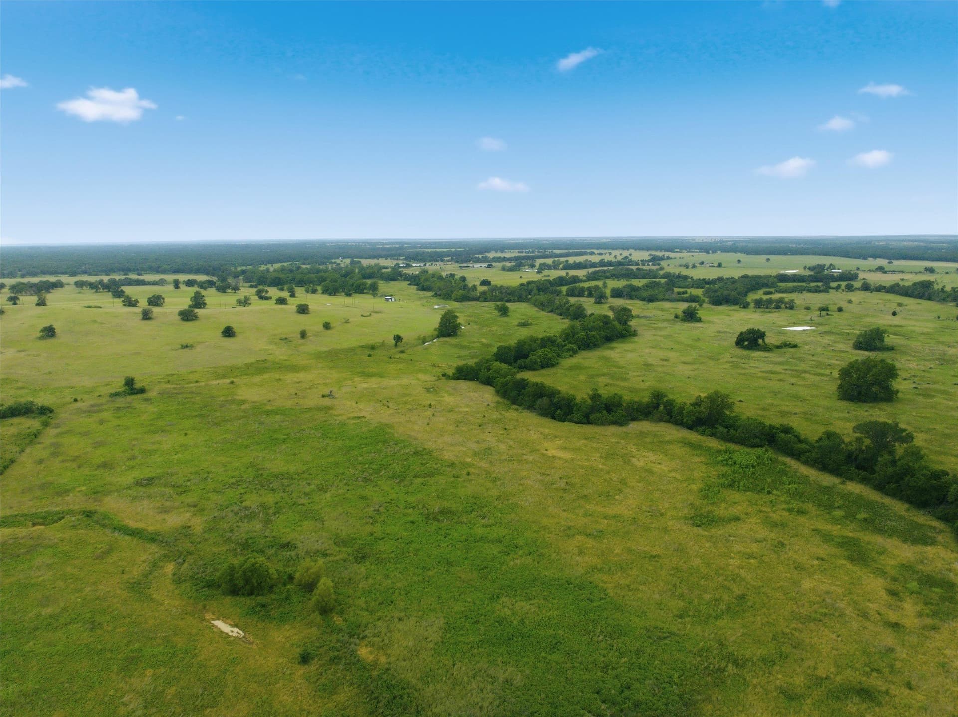 10 acres in Limestone County - photo 11