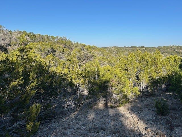 7.12 acres in Gillespie County - photo 9