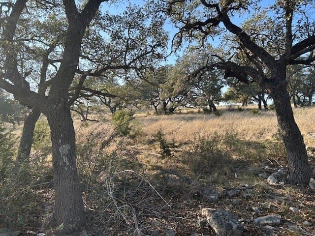 7.12 acres in Gillespie County - photo 14