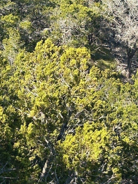 7.12 acres in Gillespie County - photo 10
