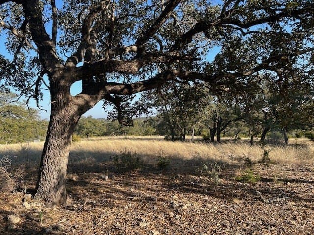 7.12 acres in Gillespie County - photo 17