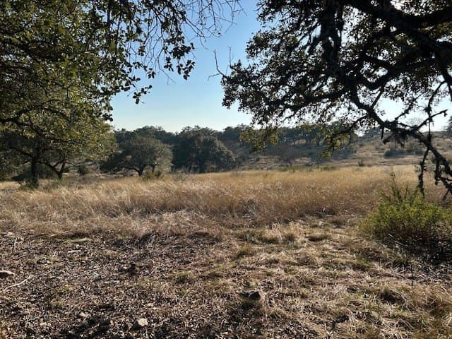 7.12 acres in Gillespie County - photo 18