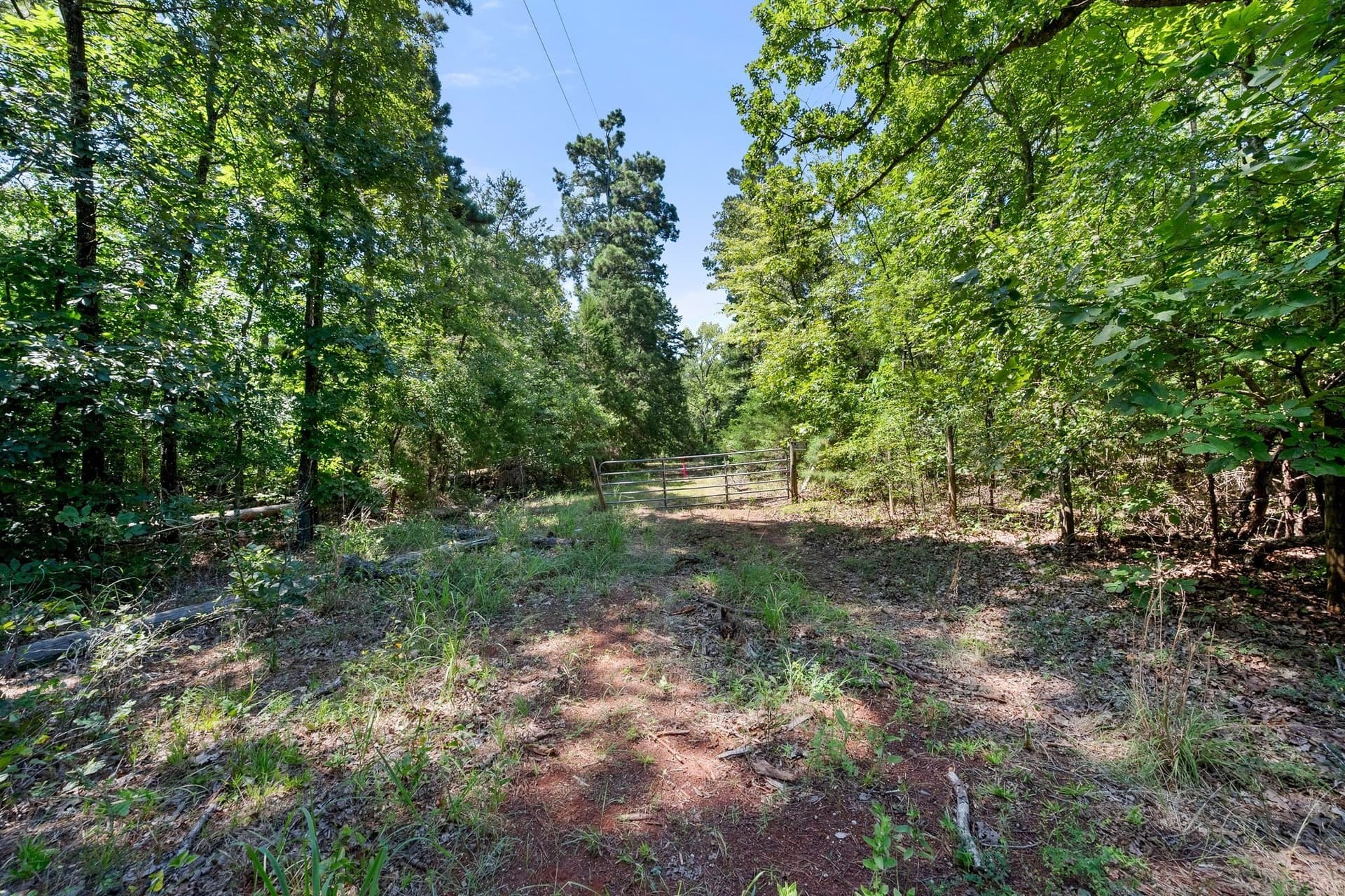 6.05 acres in Anderson County - photo 13