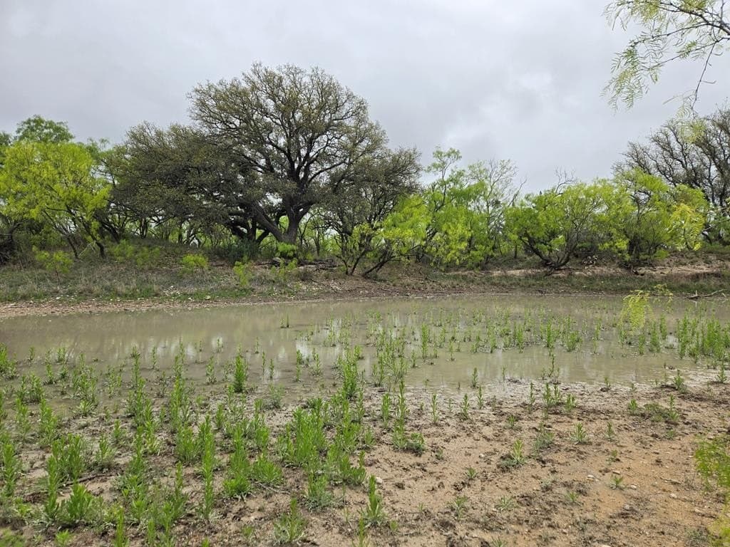 20.01 acres in Menard County featured view