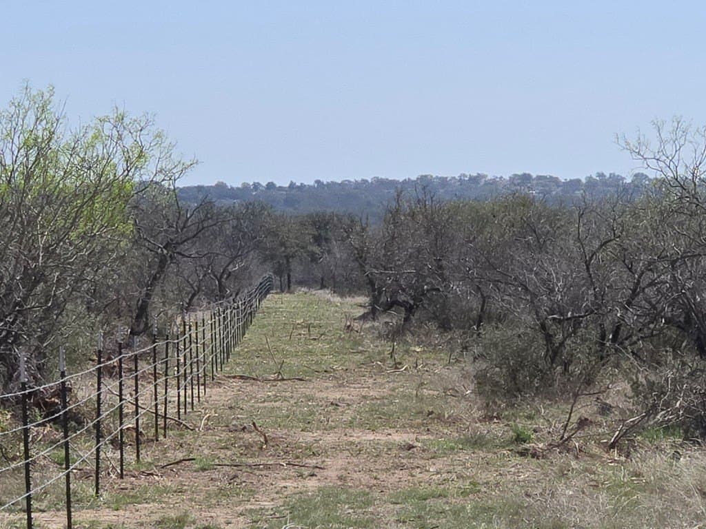 20.01 acres in Menard County gallery image 4