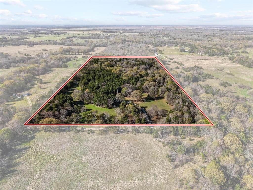 30 acres in Fannin County gallery image 2