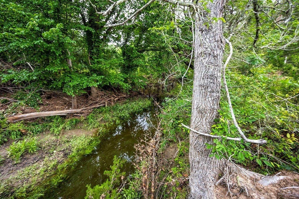 11 acres in Fayette County - photo 10