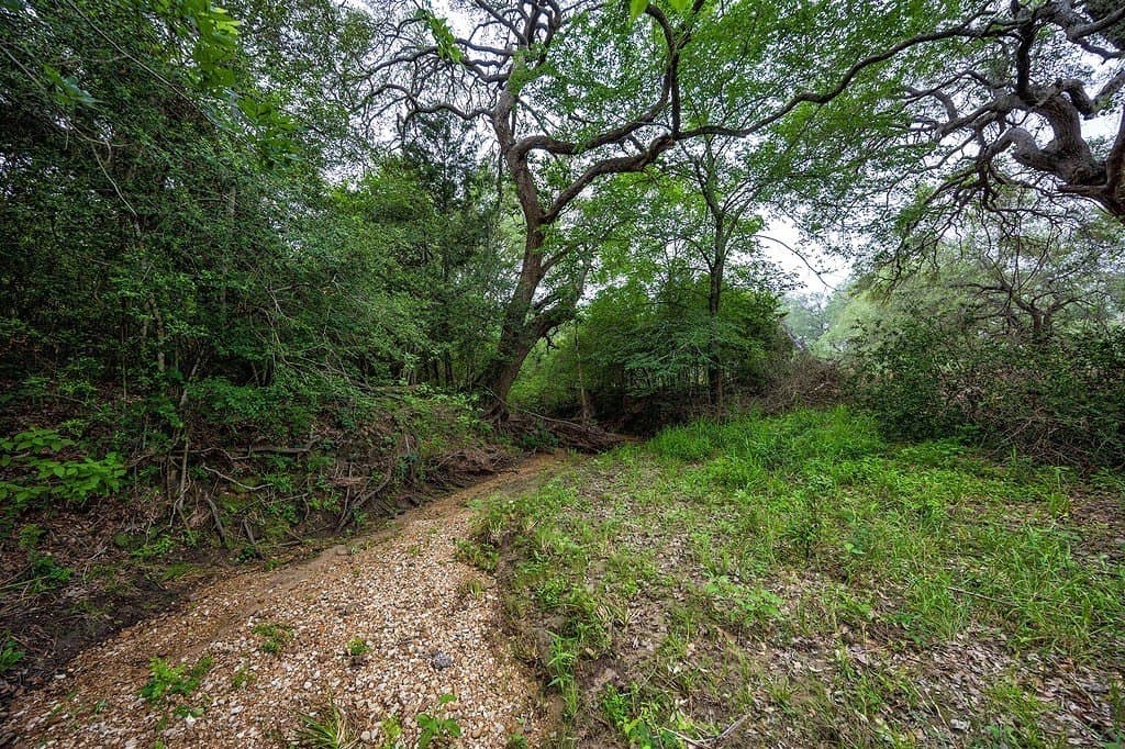 11 acres in Fayette County - photo 13