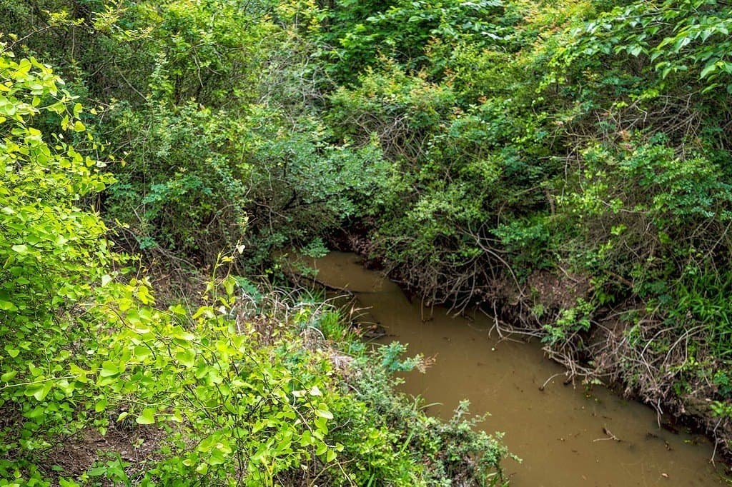 11 acres in Fayette County - photo 12