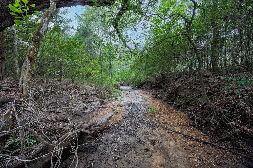 11 acres in Fayette County - photo 11