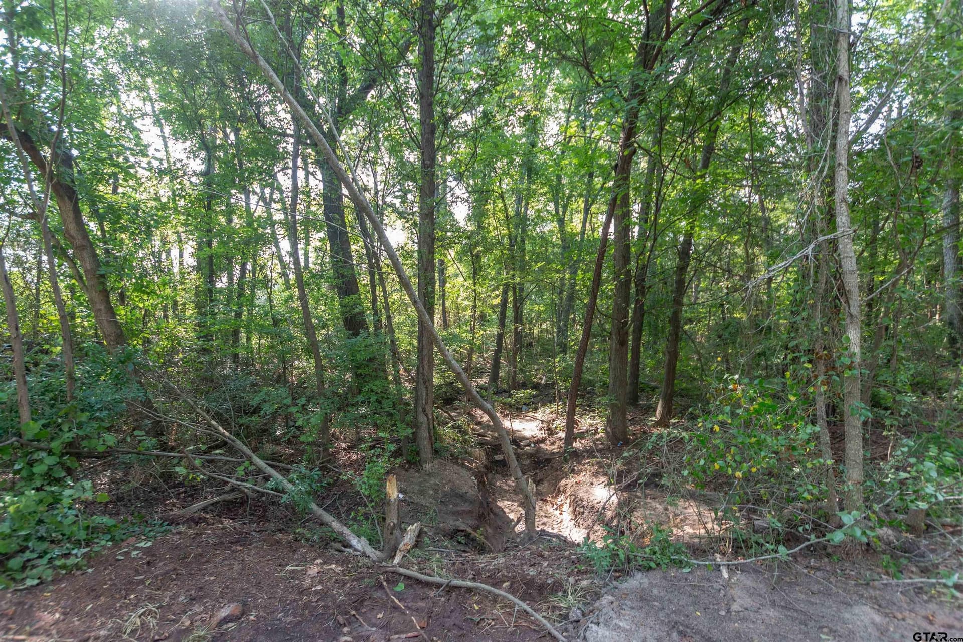 0.79 acres in Smith County gallery image 2
