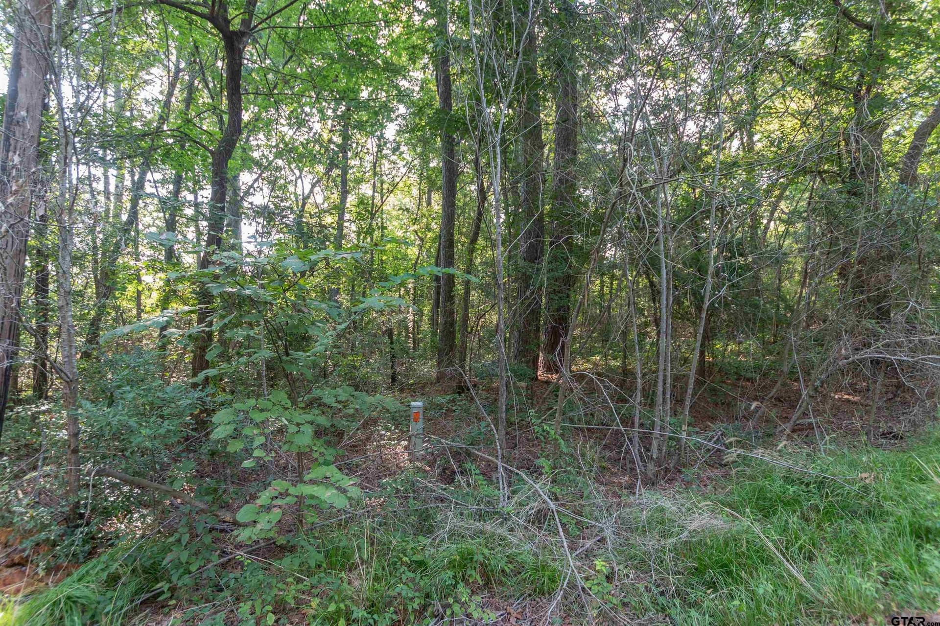 0.79 acres in Smith County gallery image 3