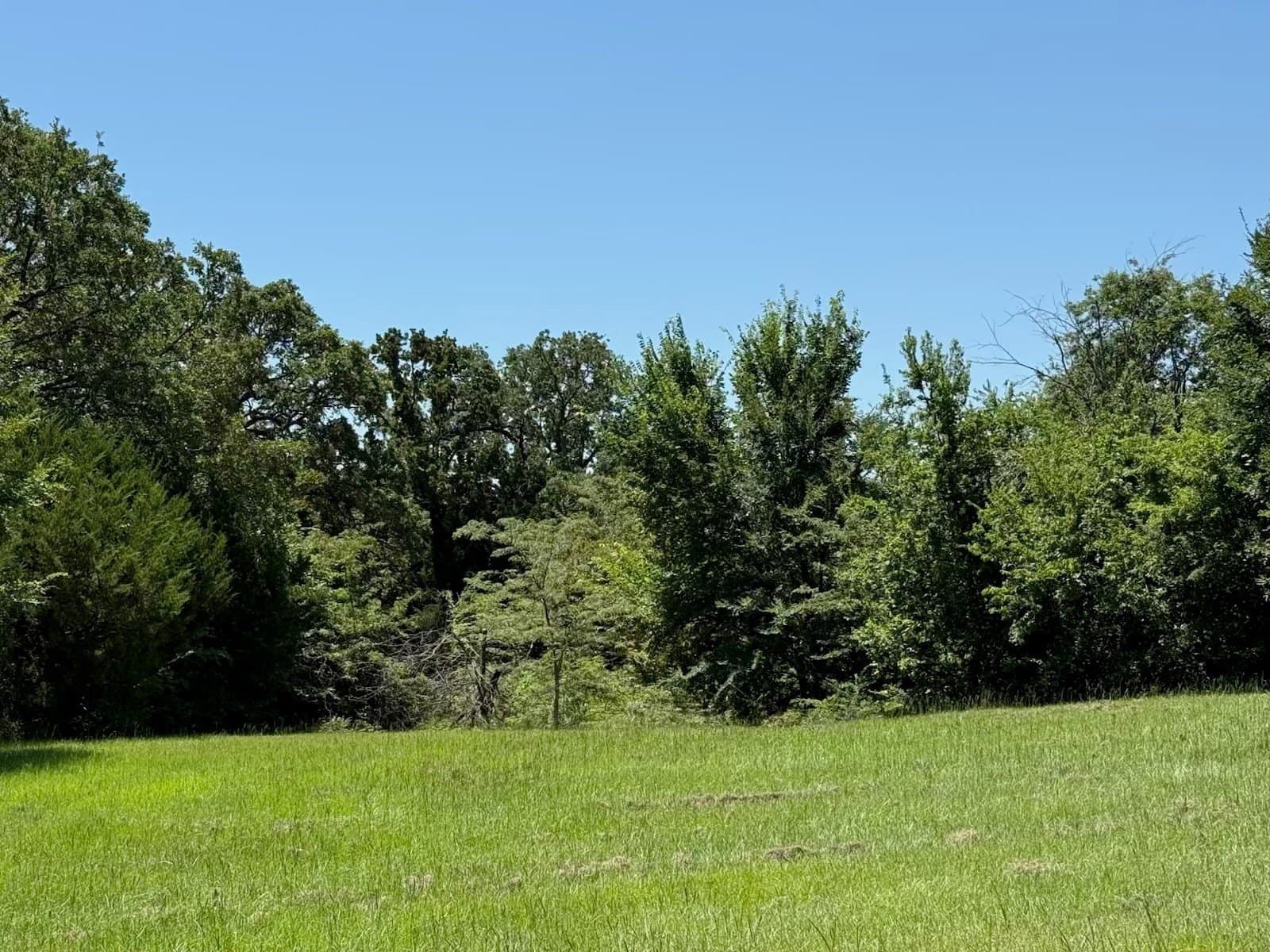 0.43 acres in Grayson County - photo 6