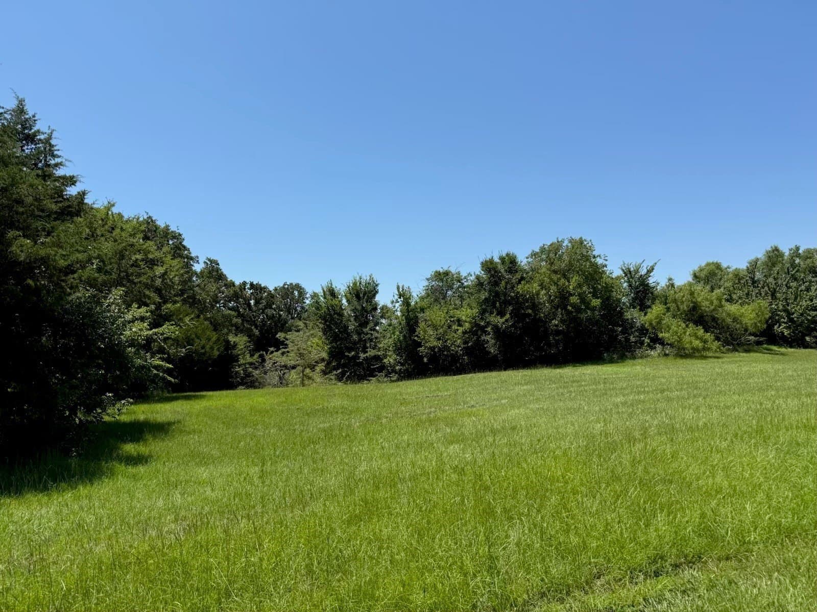 0.43 acres in Grayson County - photo 2