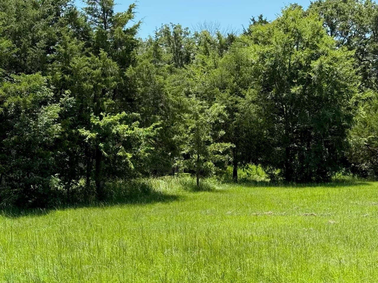 0.43 acres in Grayson County - photo 3