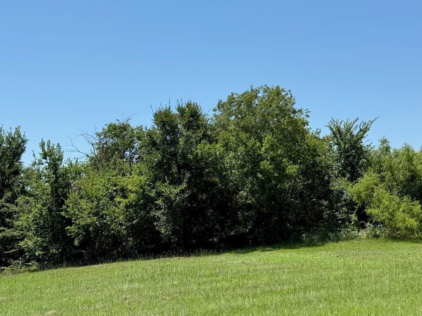 0.43 acres in Grayson County - photo 7