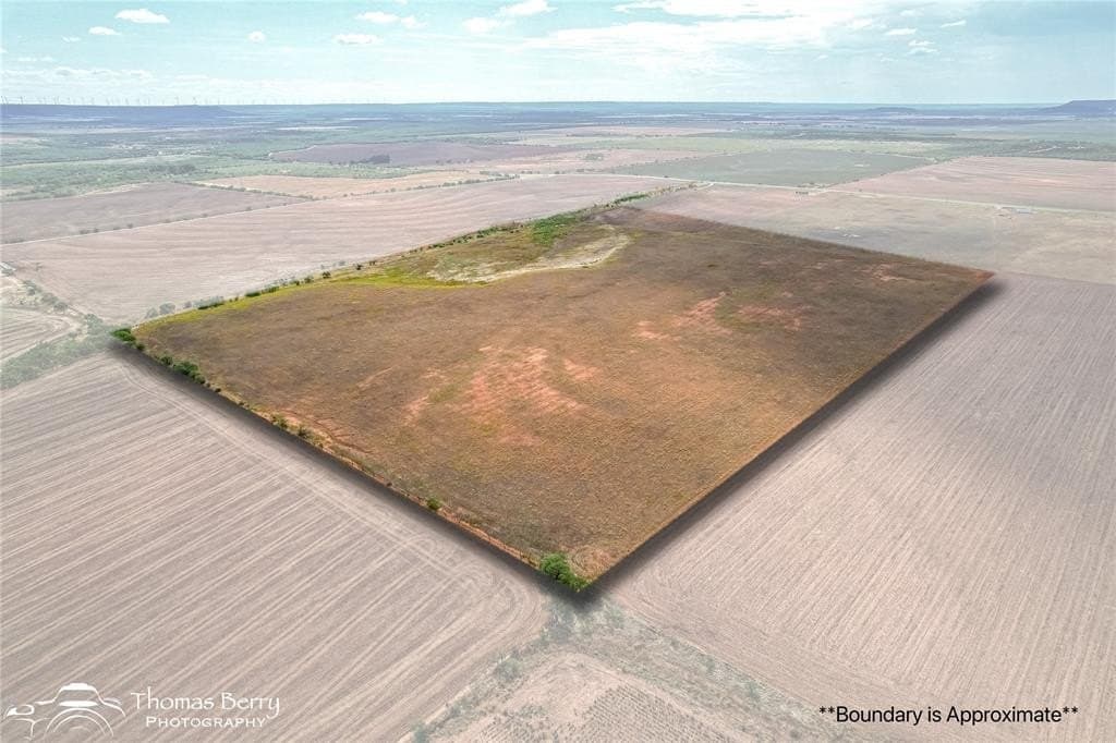 56.76 acres in Taylor County gallery image 2