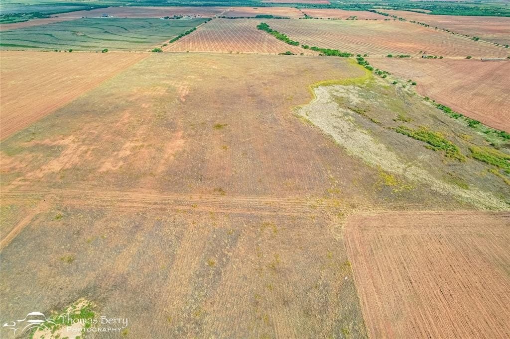 56.76 acres in Taylor County gallery image 4