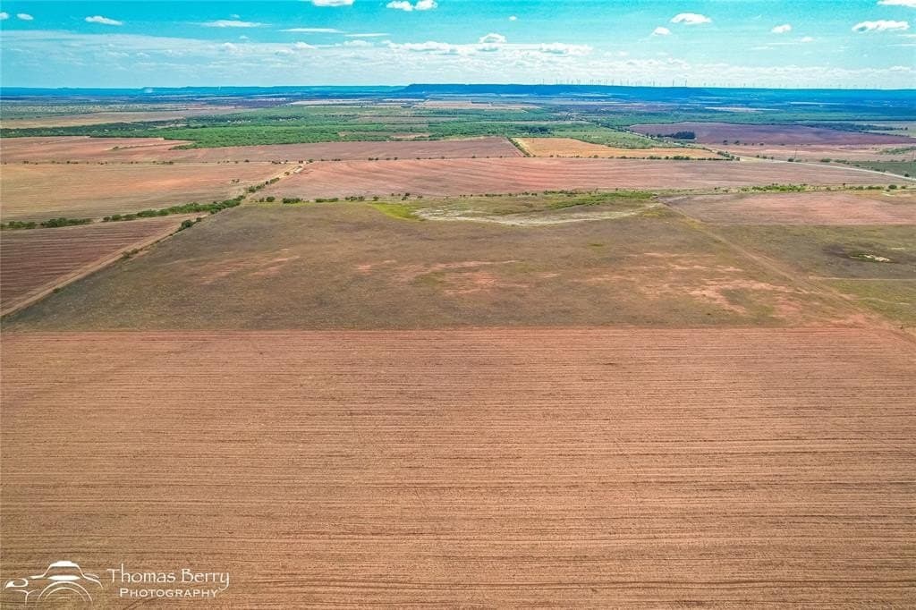 56.76 acres in Taylor County gallery image 3