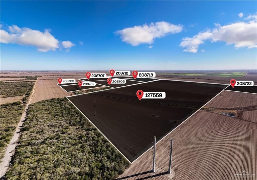 790 acres in Hidalgo County - photo 4