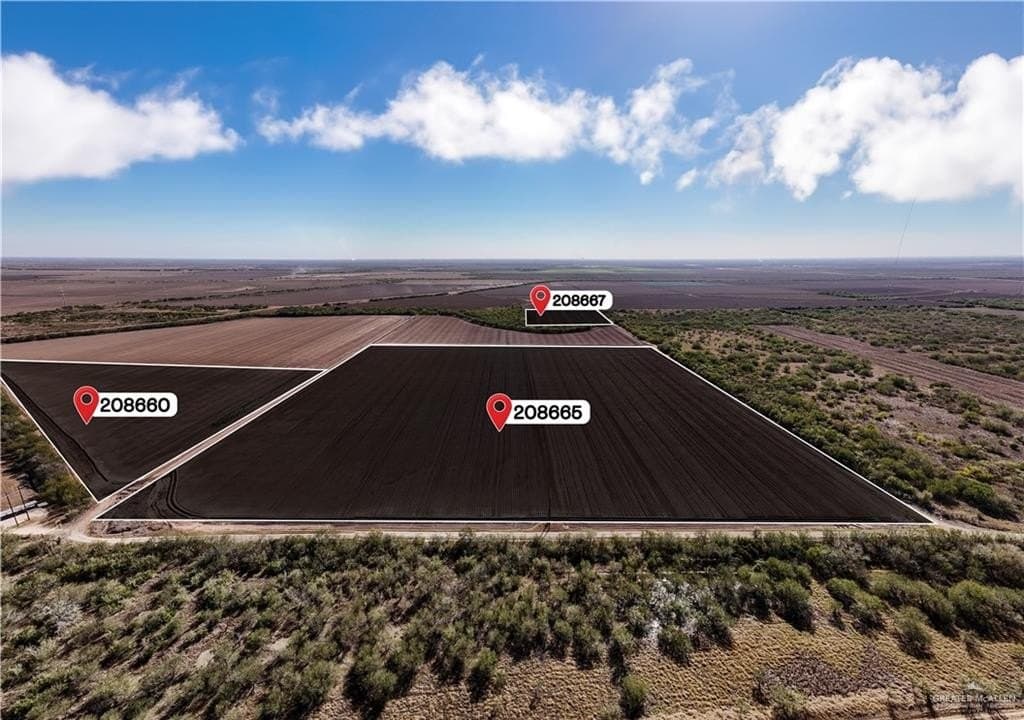 790 acres in Hidalgo County - photo 9