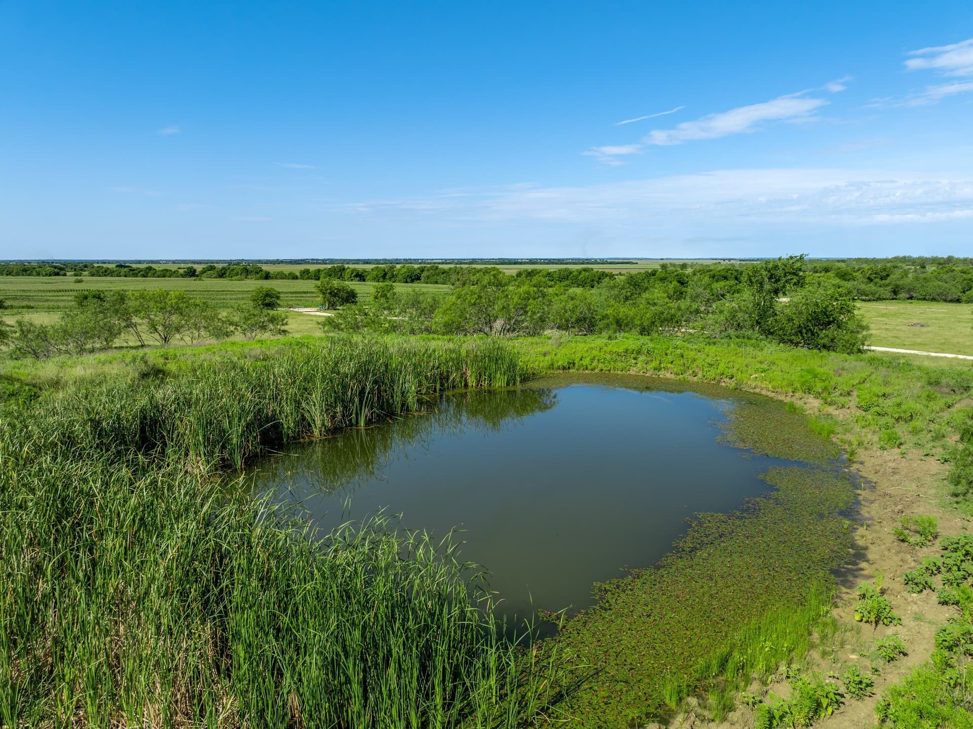 36.41 acres in McLennan County featured view