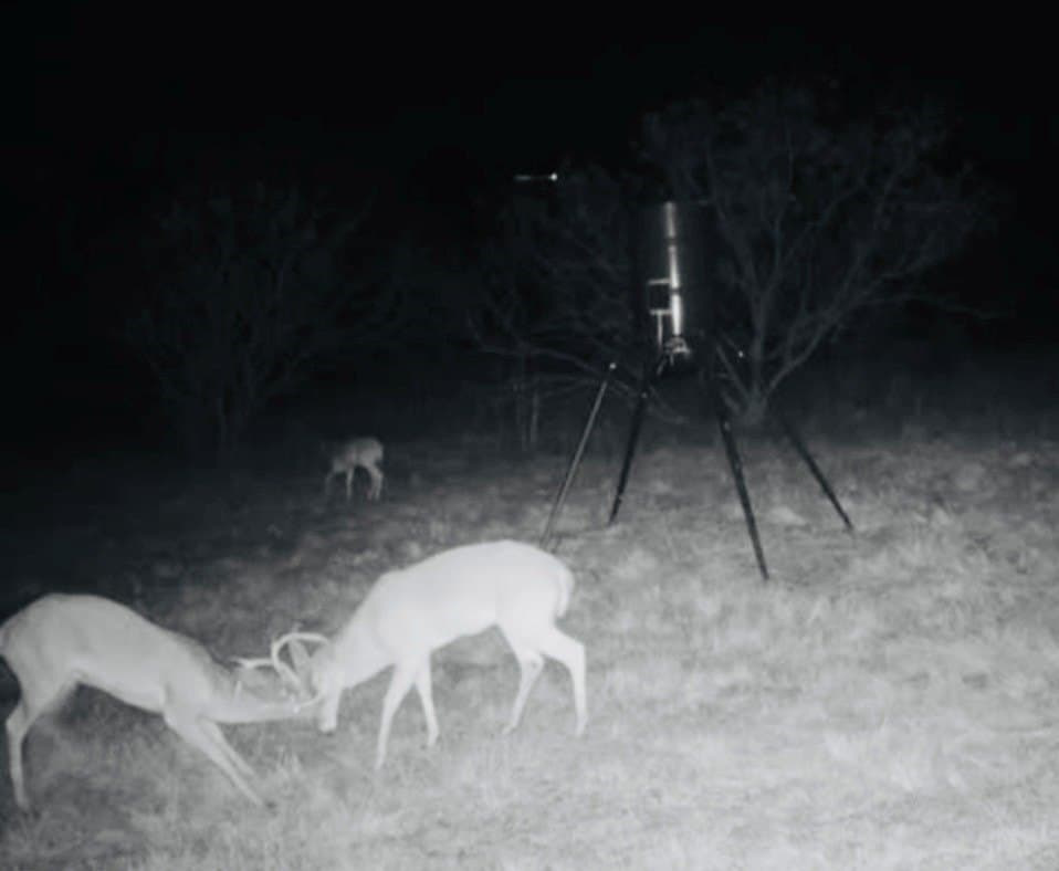 26 acres in McLennan County - photo 22