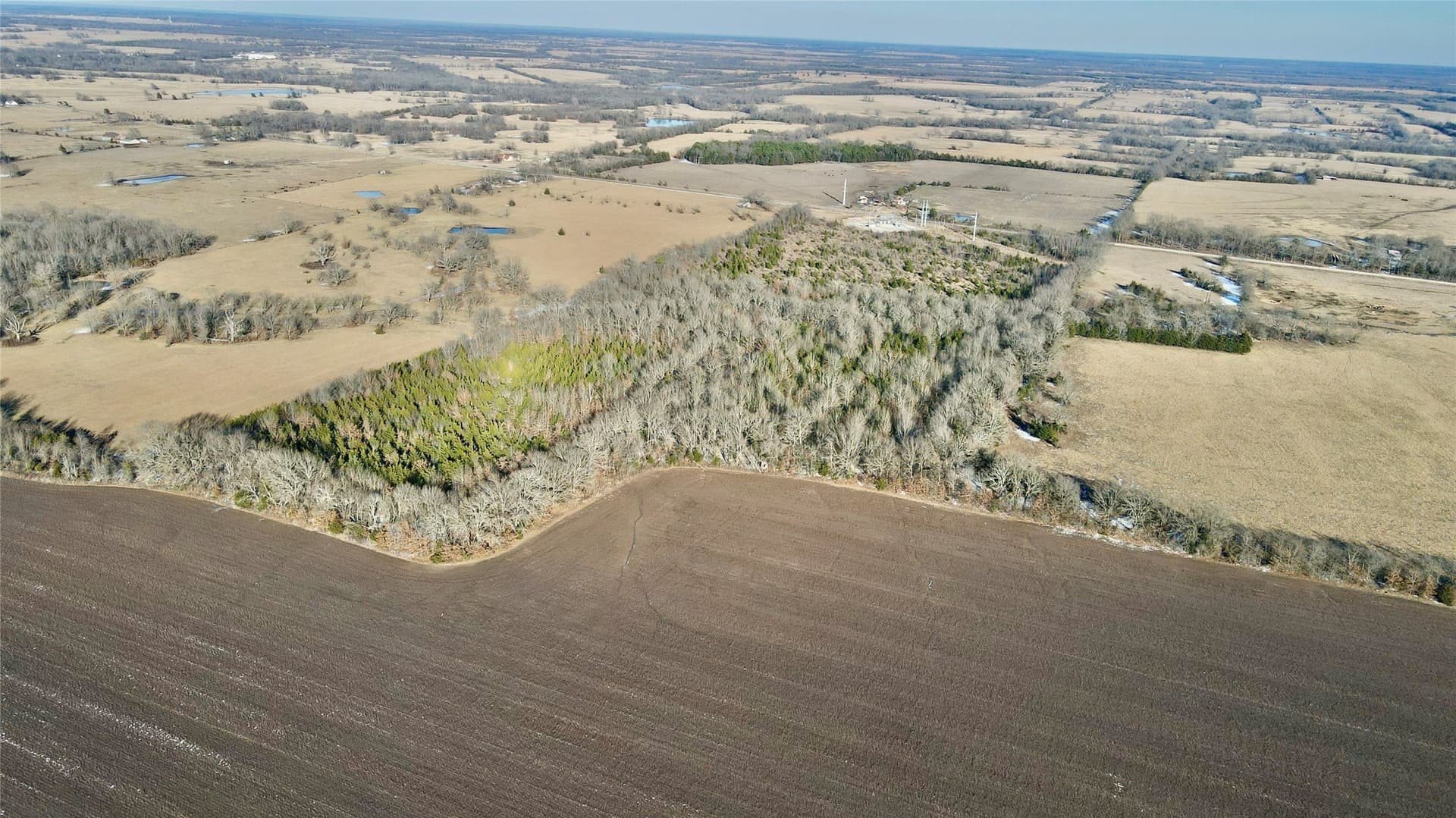 53.68 acres in Red River (TX) County - photo 10