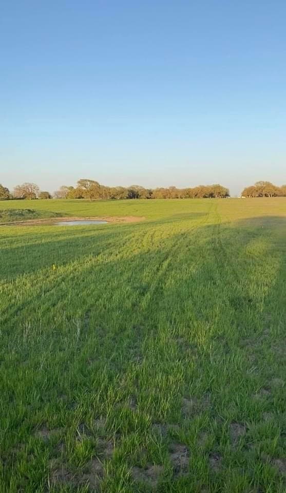 1 acres in Wise County - photo 3