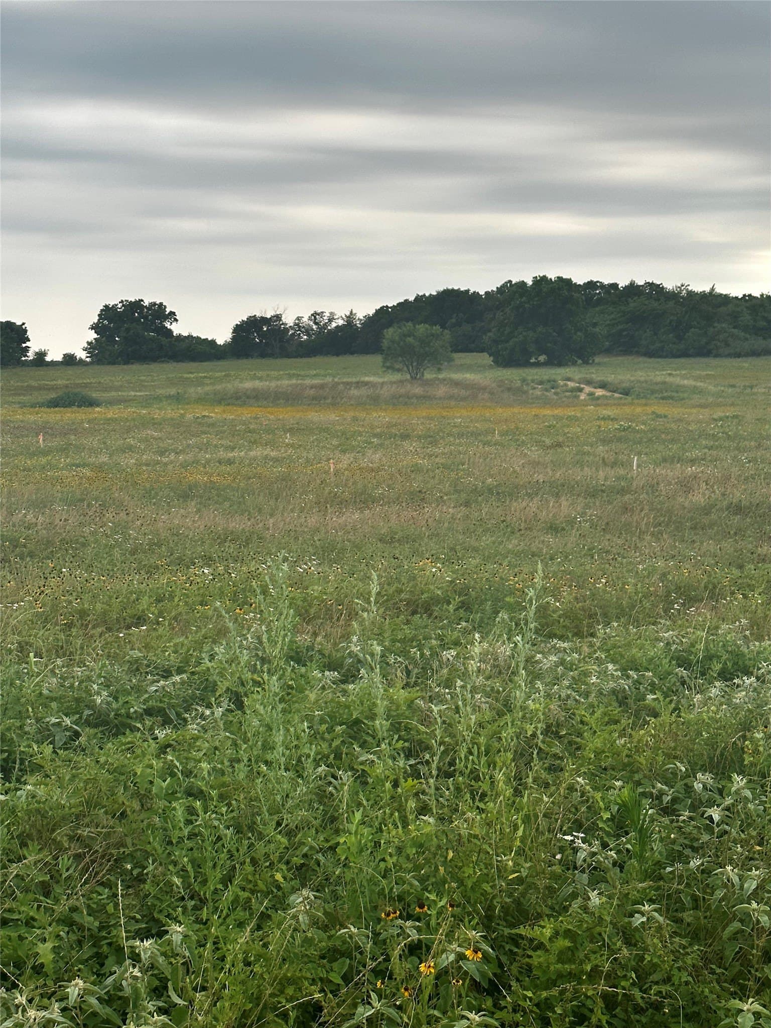 1 acres in Wise County - photo 4