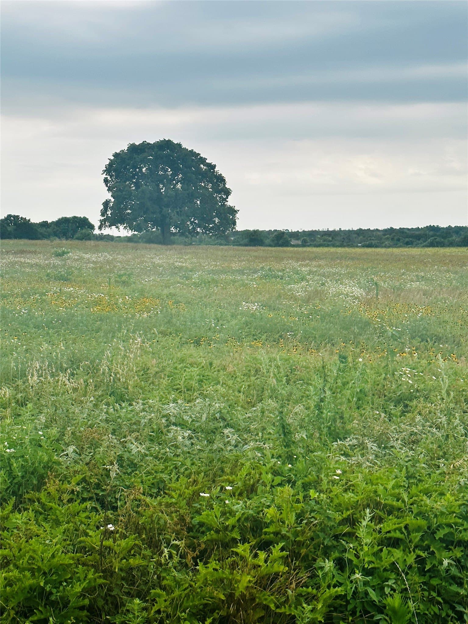 1 acres in Wise County - photo 5