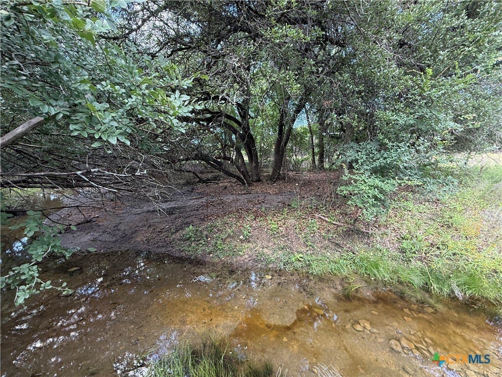 72 acres in Bell County - photo 32