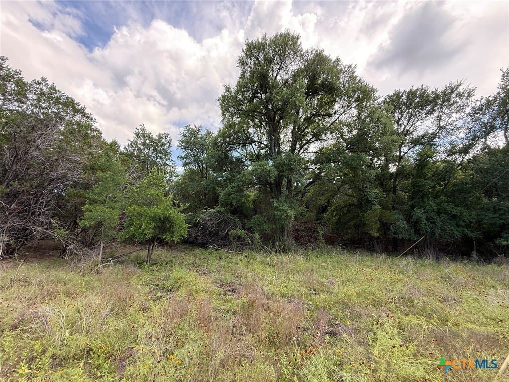 72 acres in Bell County - photo 18