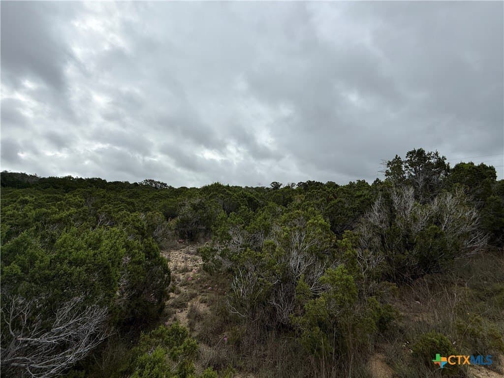 72 acres in Bell County - photo 15