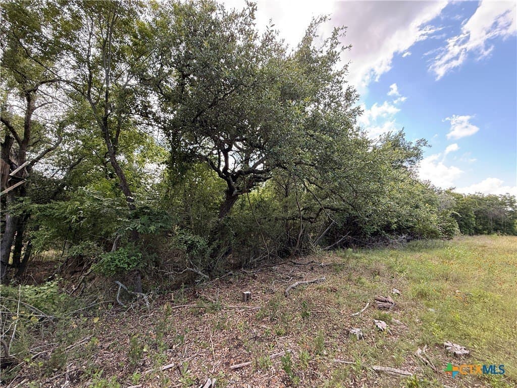 72 acres in Bell County - photo 16