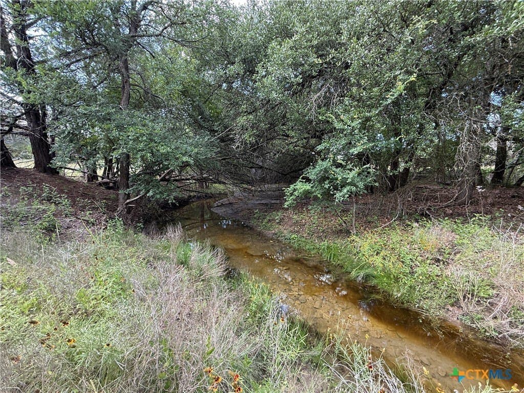 72 acres in Bell County - photo 30