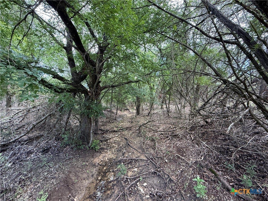 72 acres in Bell County - photo 35