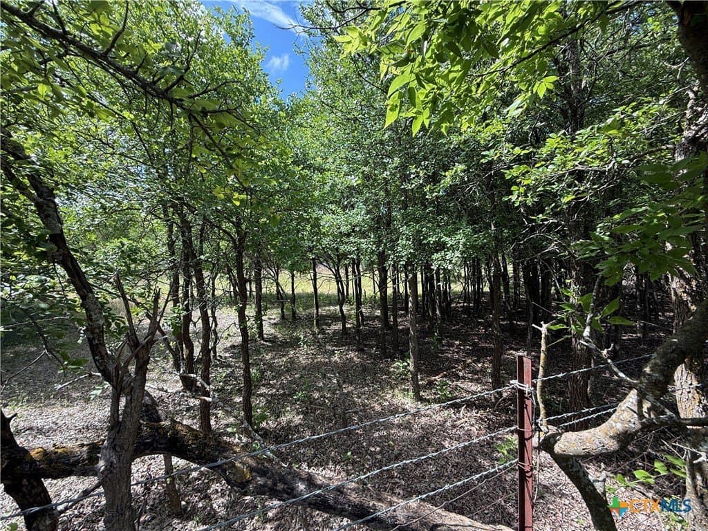 72 acres in Bell County - photo 34