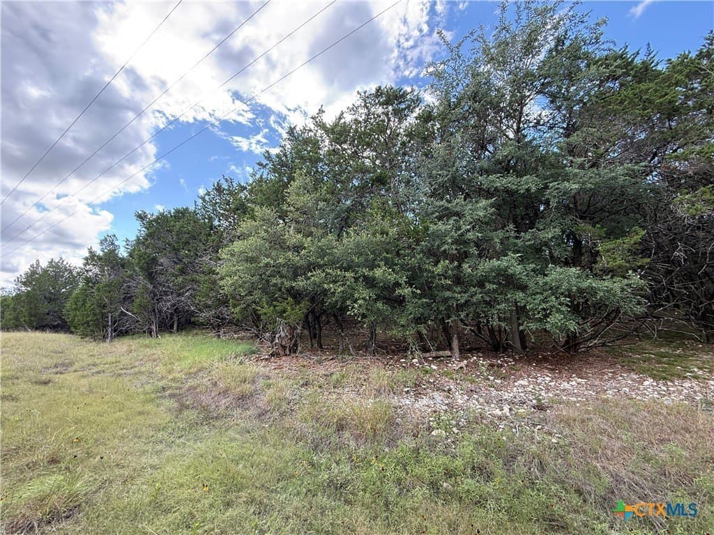 72 acres in Bell County - photo 20
