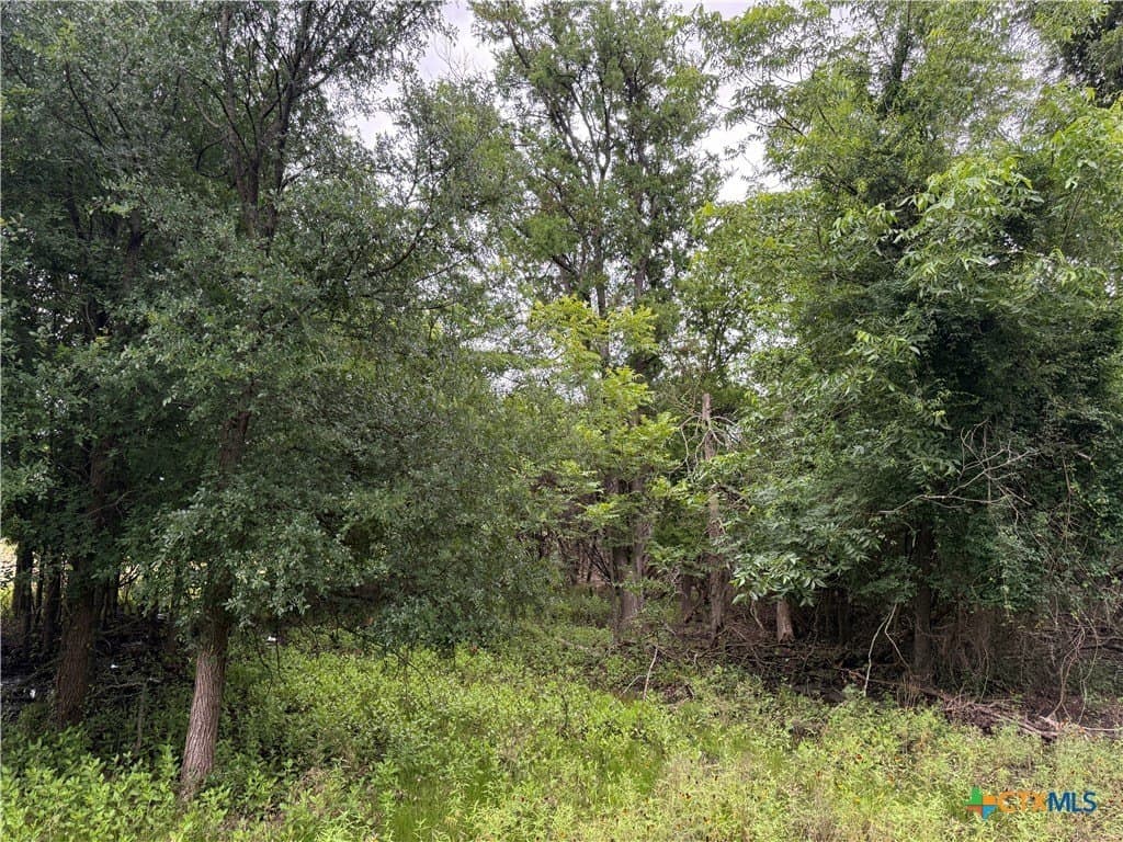 72 acres in Bell County - photo 36