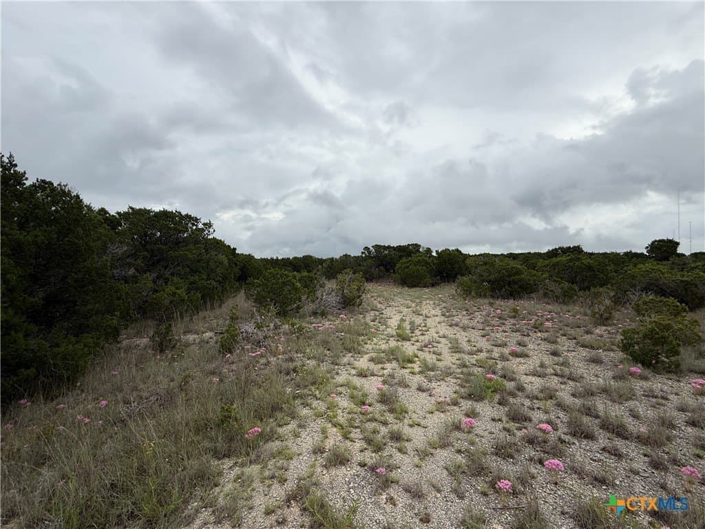 72 acres in Bell County - photo 10
