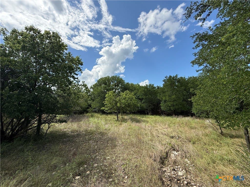 72 acres in Bell County - photo 19