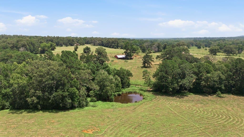 65.97 acres in HOUSTON County - photo 38
