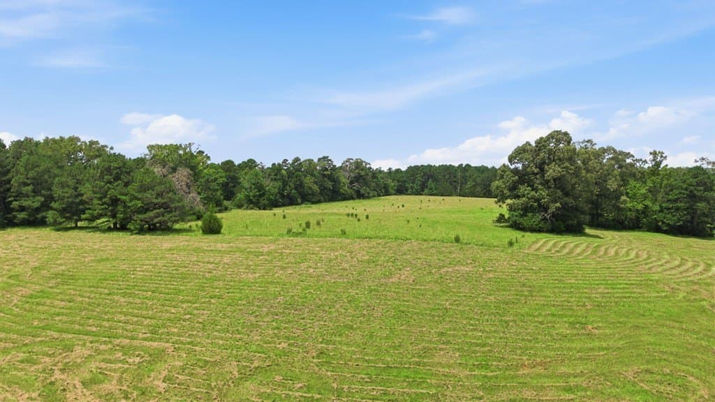 65.97 acres in HOUSTON County - photo 41