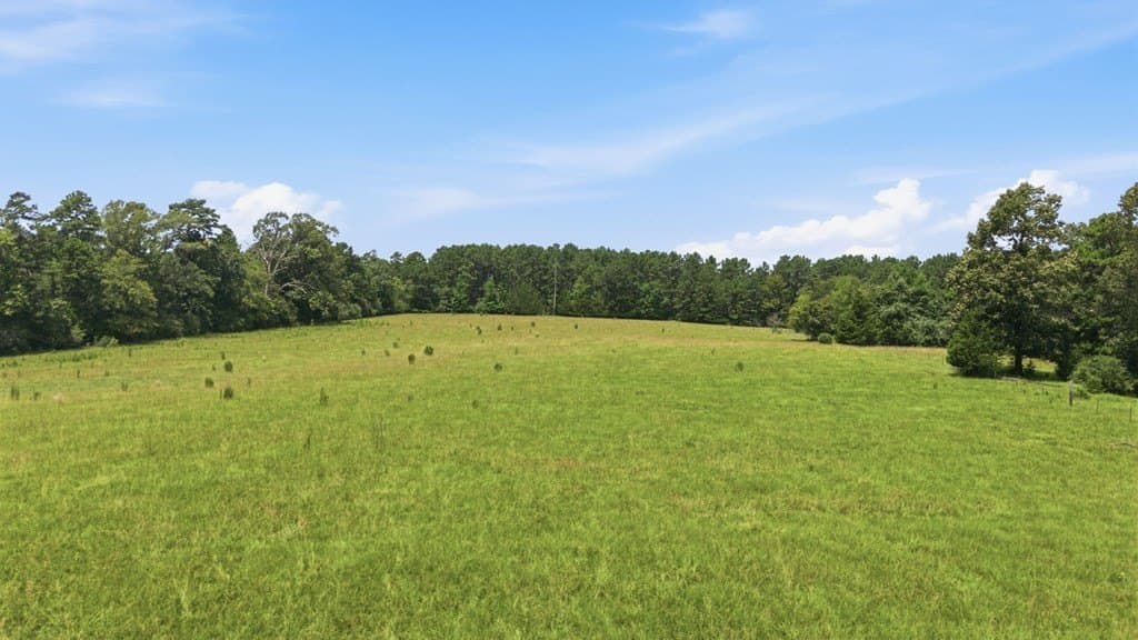 65.97 acres in HOUSTON County - photo 40
