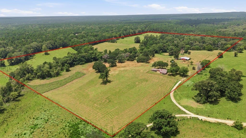 65.97 acres in HOUSTON County gallery image 2