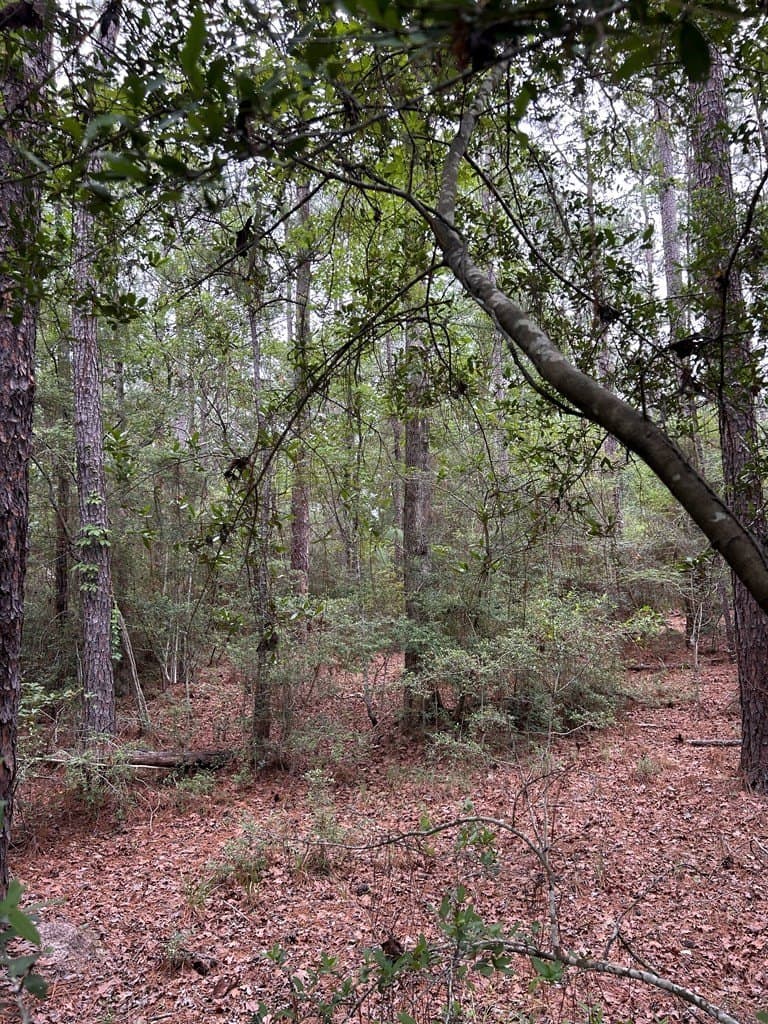 0.19 acres in Texas County - photo 8
