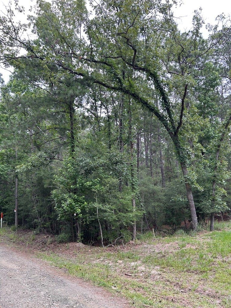 0.19 acres in Texas County gallery image 2