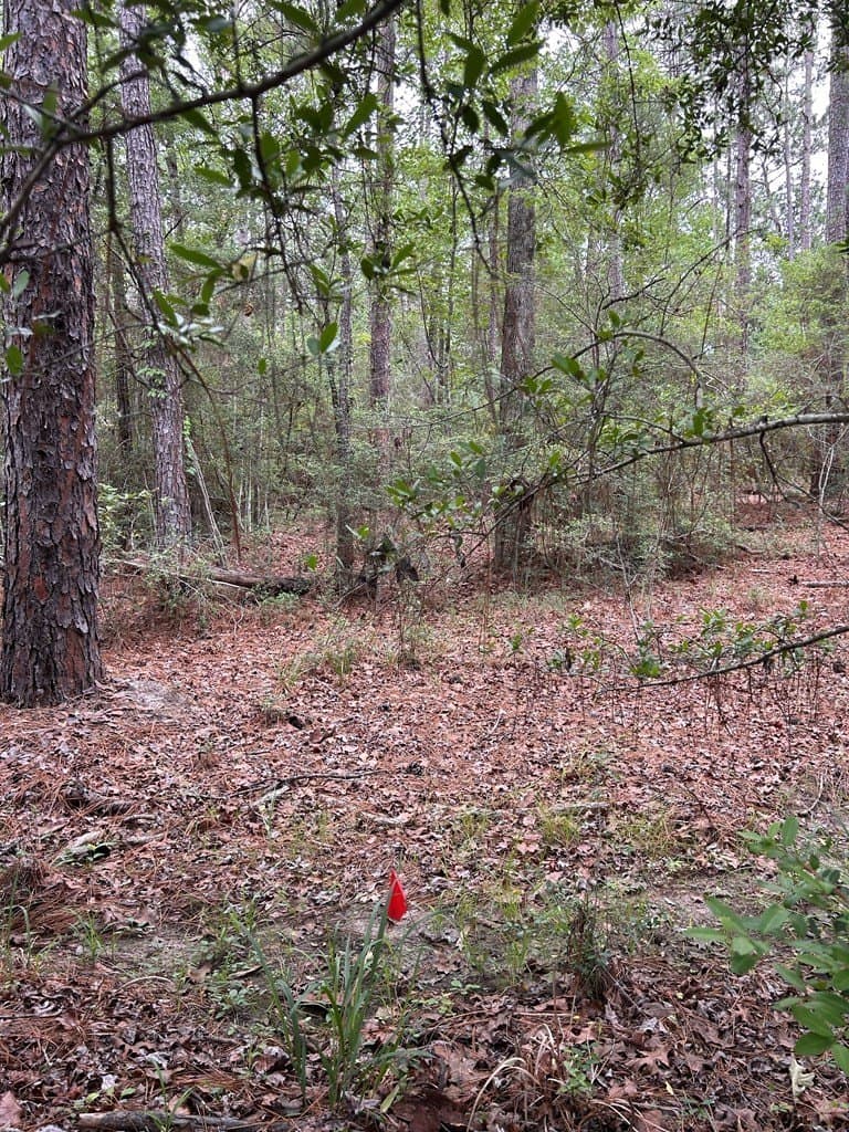 0.19 acres in Texas County - photo 6
